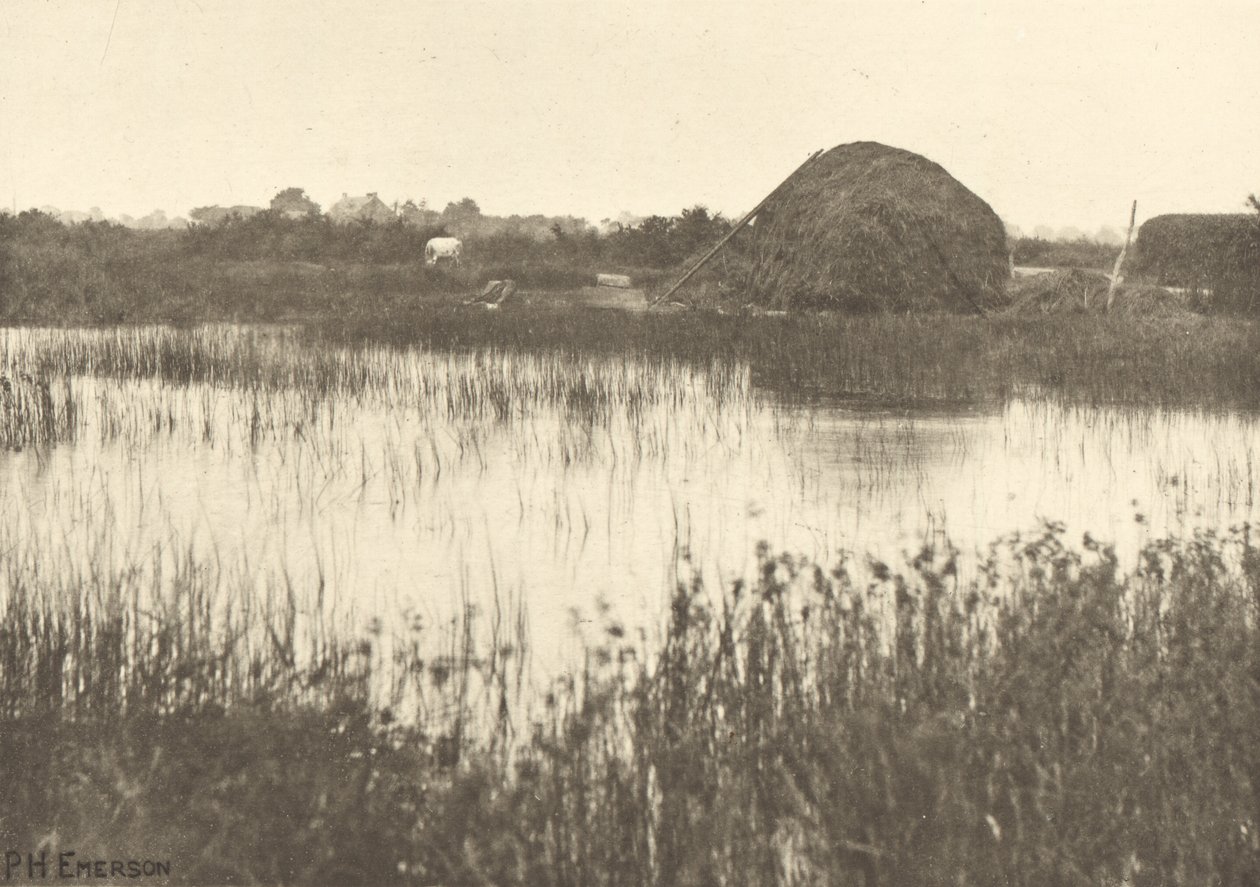 Jesienne powodzie autorstwa Peter Henry Emerson