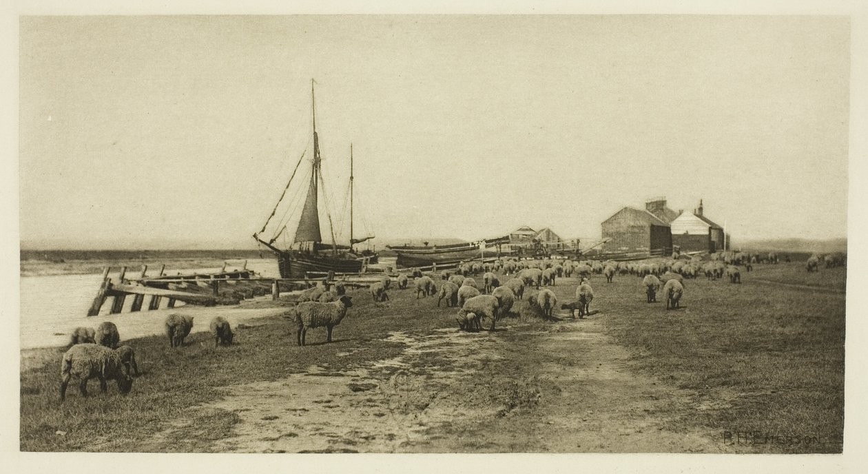 Czarny Brzeg, Rzeka Blythe (Suffolk) autorstwa Peter Henry Emerson