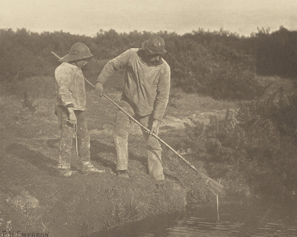 WęgorzPicking w wodach Suffolk autorstwa Peter Henry Emerson