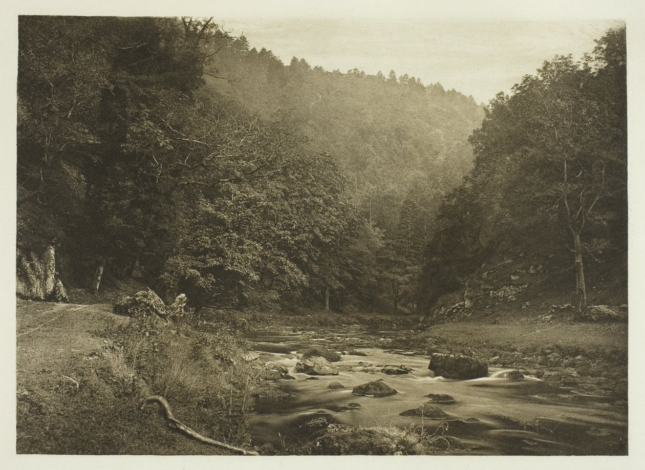 W Dove Dale (Staffordshire Side) autorstwa Peter Henry Emerson