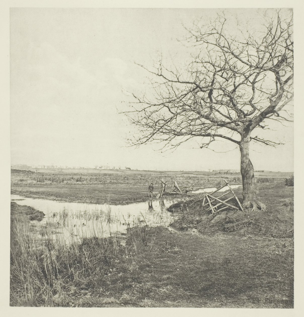 Marsz bezlistny (Suffolk) autorstwa Peter Henry Emerson