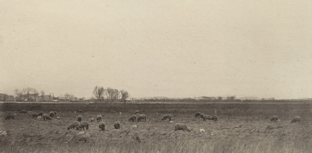 Bagna nad Morzem Północnym autorstwa Peter Henry Emerson