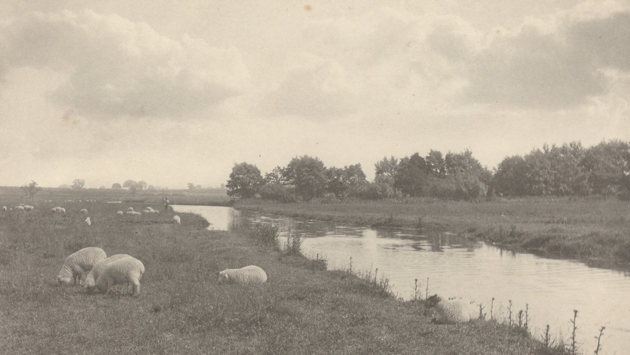 Na rzece Bure, 1886. autorstwa Peter Henry Emerson
