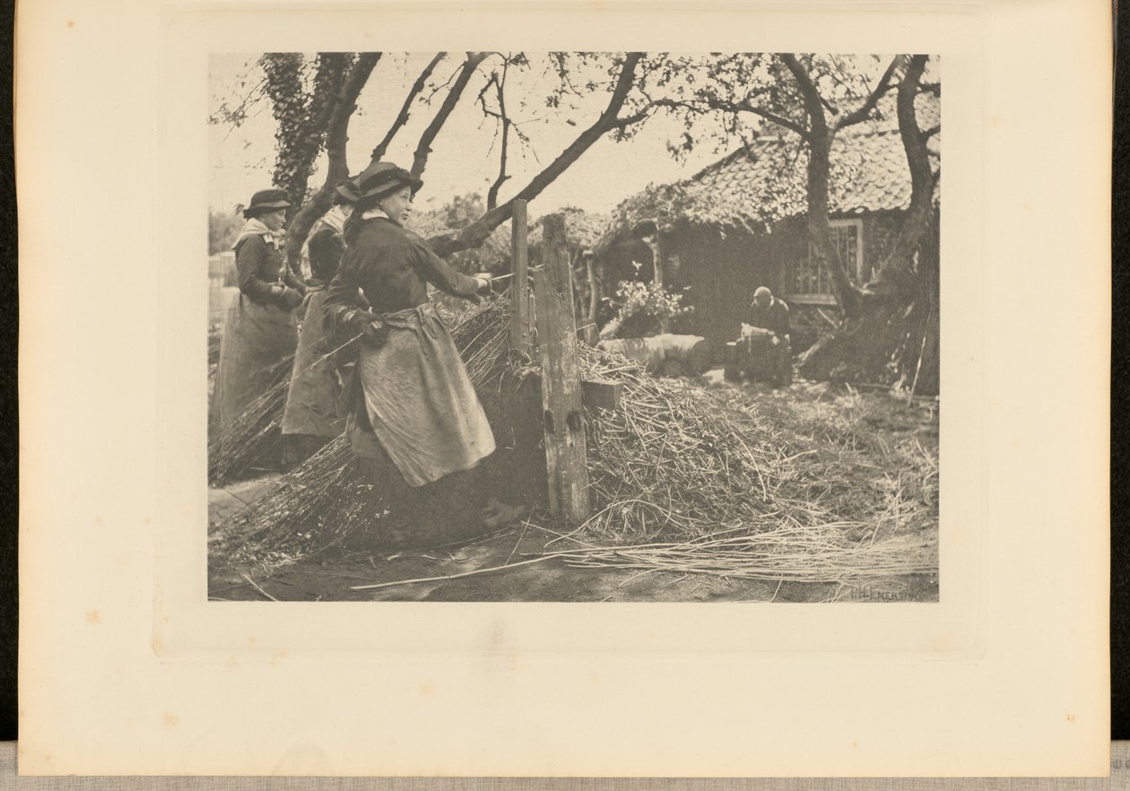 OsierPeeling. [Norfolk]]. autorstwa Peter Henry Emerson