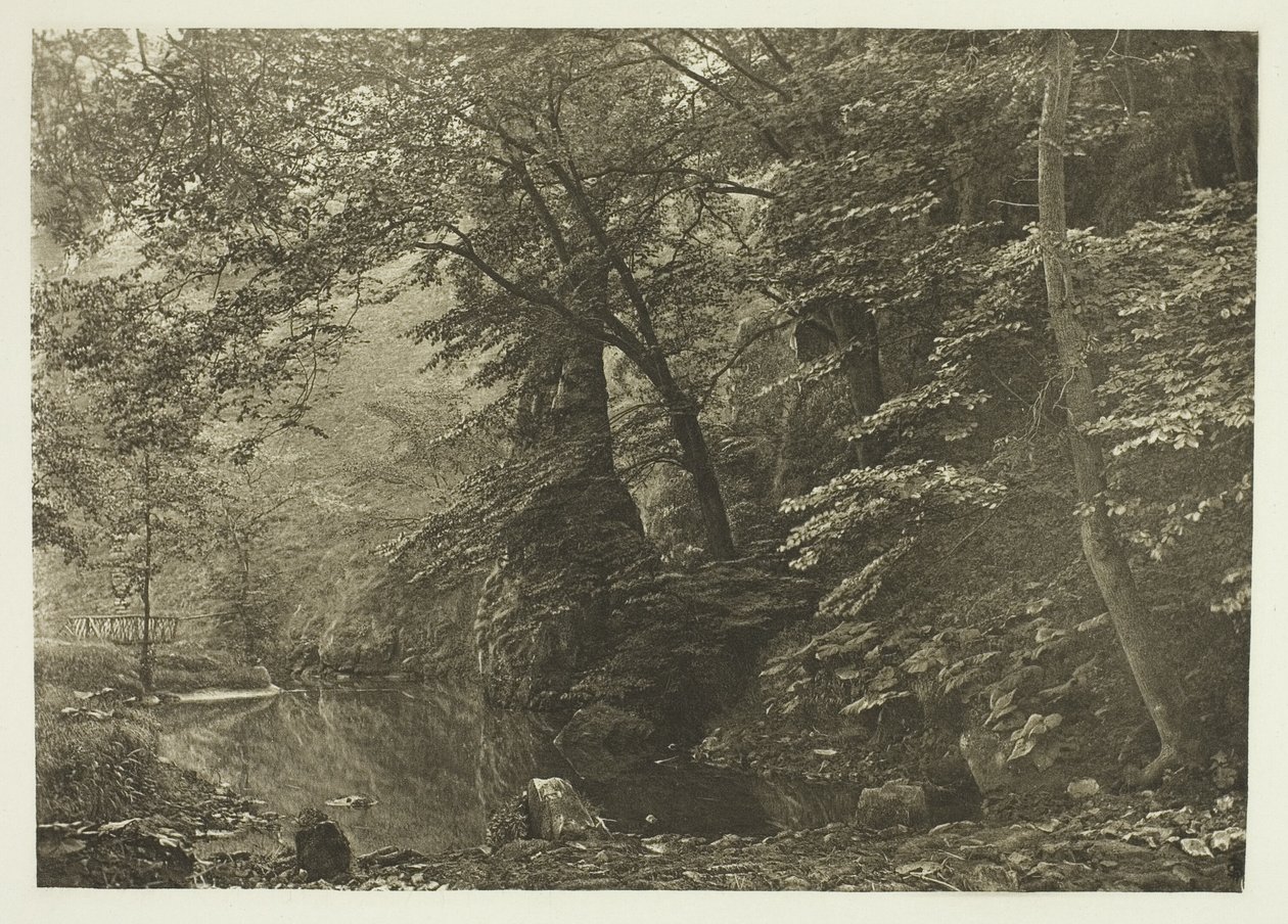 "Pike Pool" (od dołu) autorstwa Peter Henry Emerson