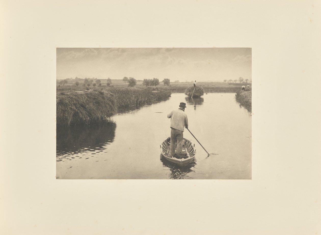 Kwantyzacja siana bagiennego autorstwa Peter Henry Emerson