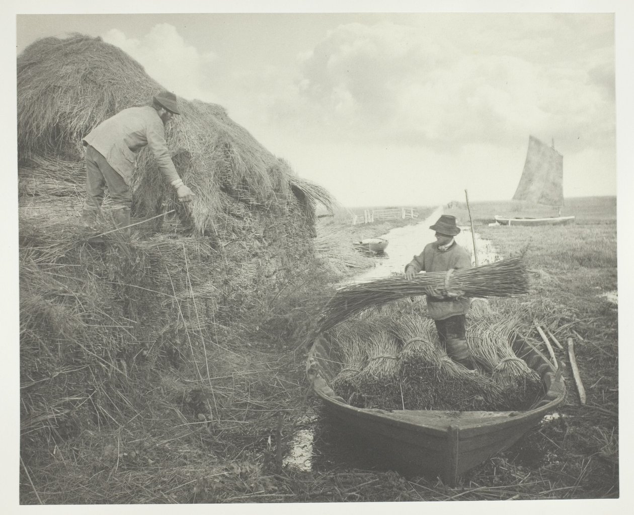 Ricking the Reed autorstwa Peter Henry Emerson