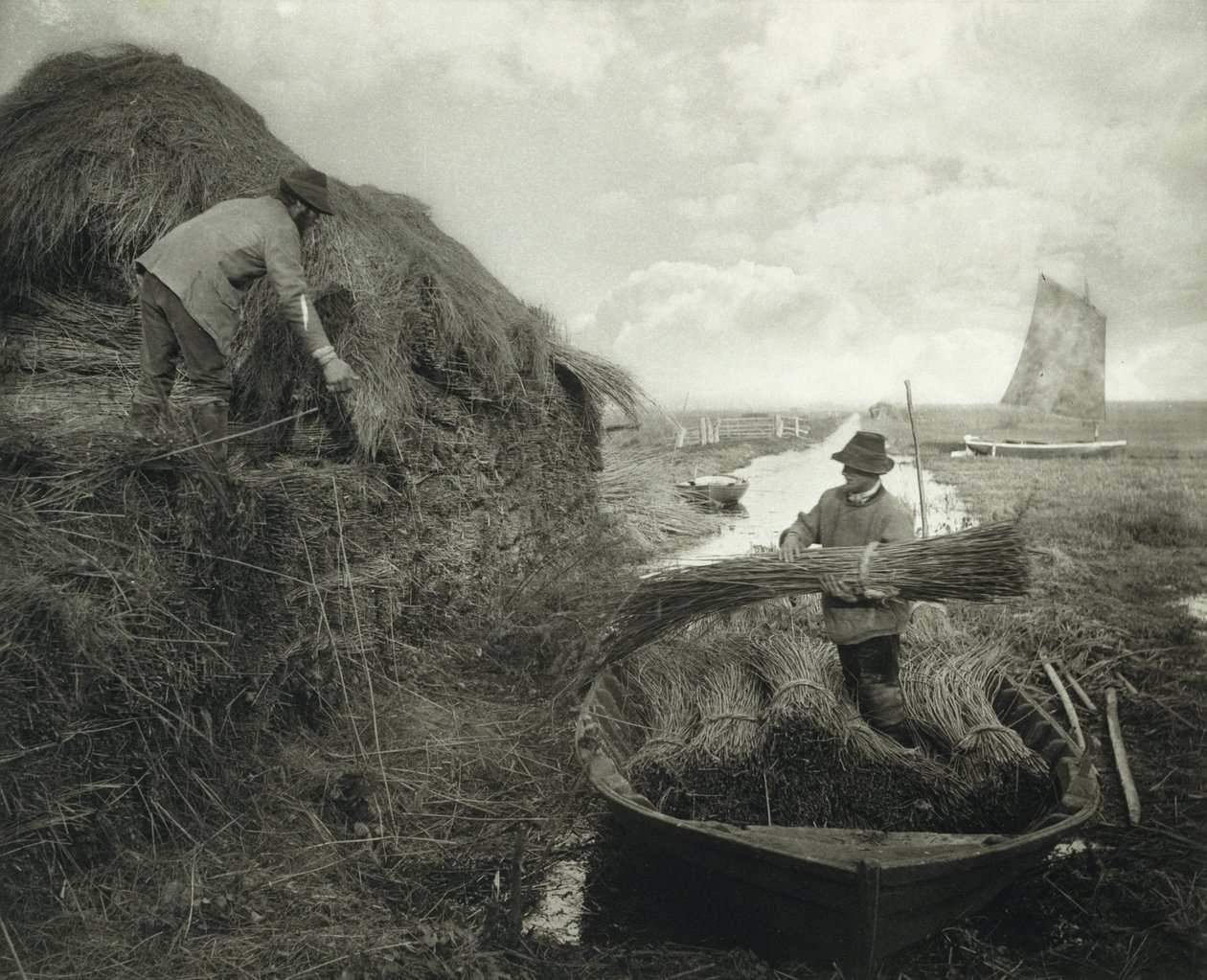 Ricking the Reed, ok.1885 (odbitka platynowa) autorstwa Peter Henry Emerson