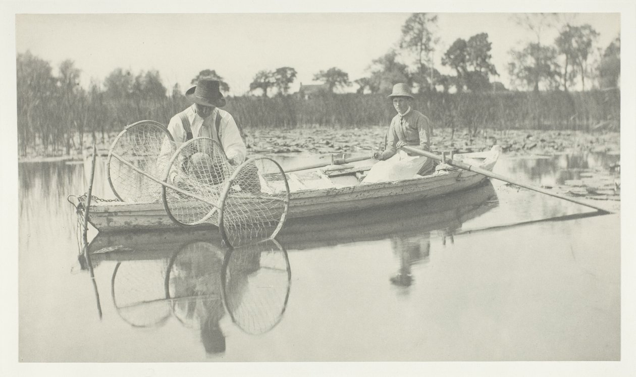 Ustawianie siatki autorstwa Peter Henry Emerson