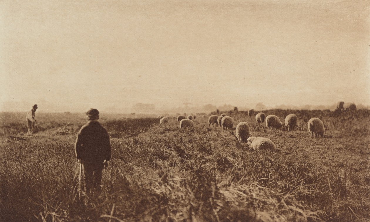 Bagna w czerwcu autorstwa Peter Henry Emerson