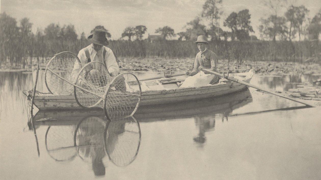 Ustawianie sieci łukowej autorstwa Peter Henry Emerson and T.F. Goodall