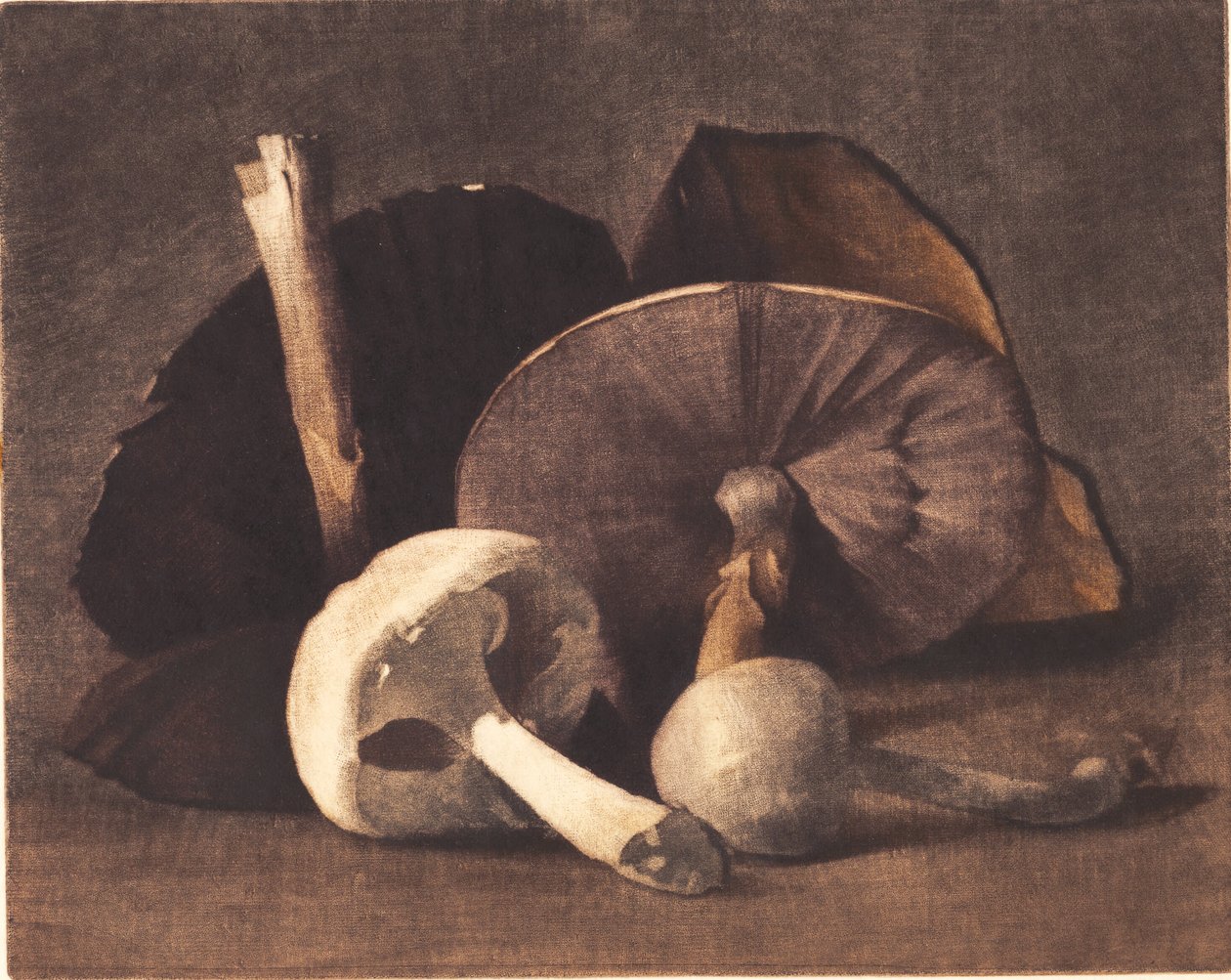 Biały grzyb autorstwa Peter Vilhelm Ilsted