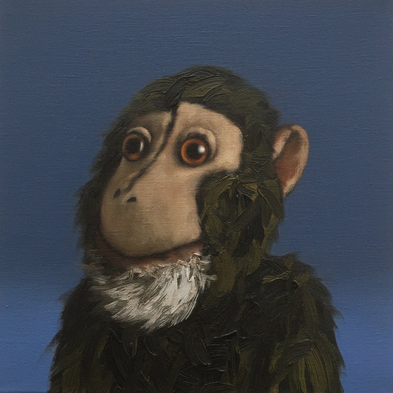 Andy Małpa, 2017 autorstwa Peter Jones