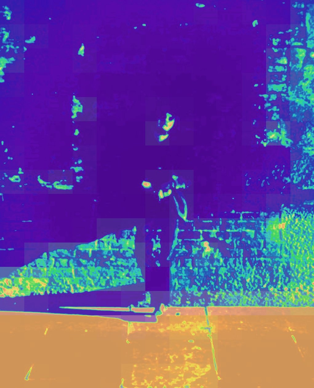 ARTIST ROGER z lat 70., 2015 (zdjęcie ulepszone cyfrowo) autorstwa Peter McClure