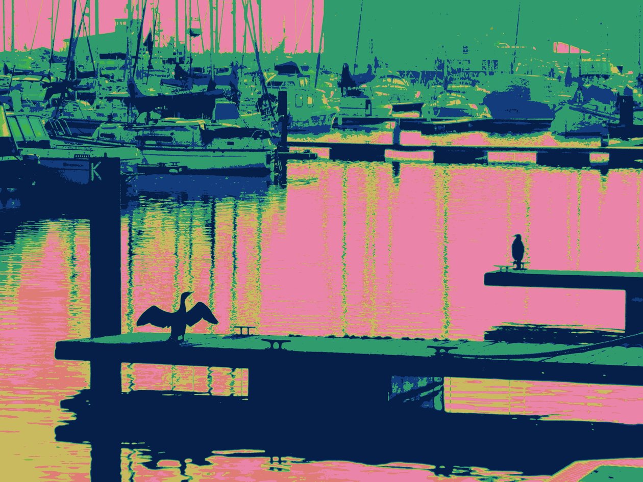 COURT-SHIP HARTLEPOOL, 2014, (zdjęcie ulepszone cyfrowo) autorstwa Peter McClure