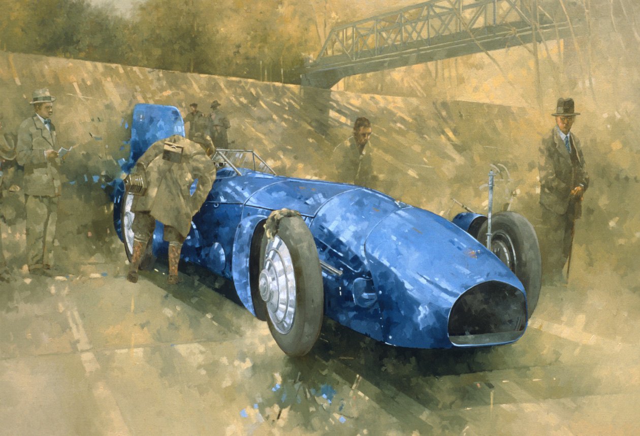 Bluebird w Brooklands (olej na płótnie) autorstwa Peter Miller