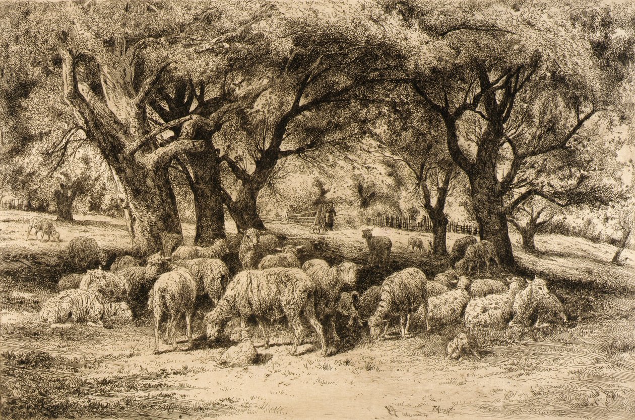 (A New England Orchard) autorstwa Peter Moran