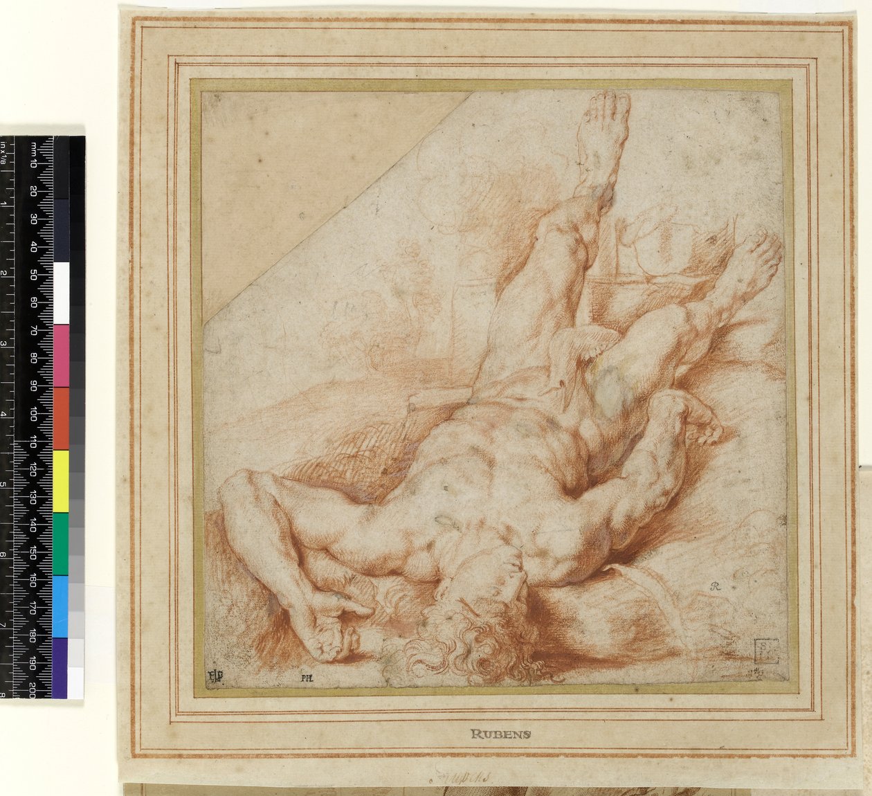 Abel zabity przez Kaina (rysunek) autorstwa Peter Paul Rubens