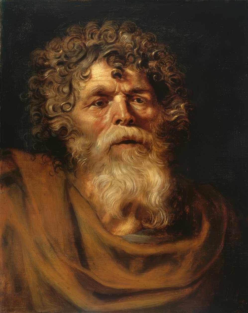 Portret brodatego starca autorstwa Peter Paul Rubens