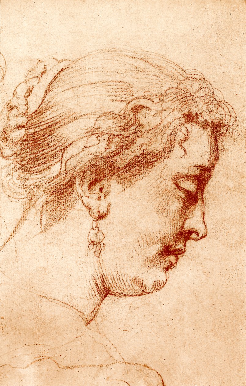 Głowa o profilu żeńskim autorstwa Peter Paul Rubens