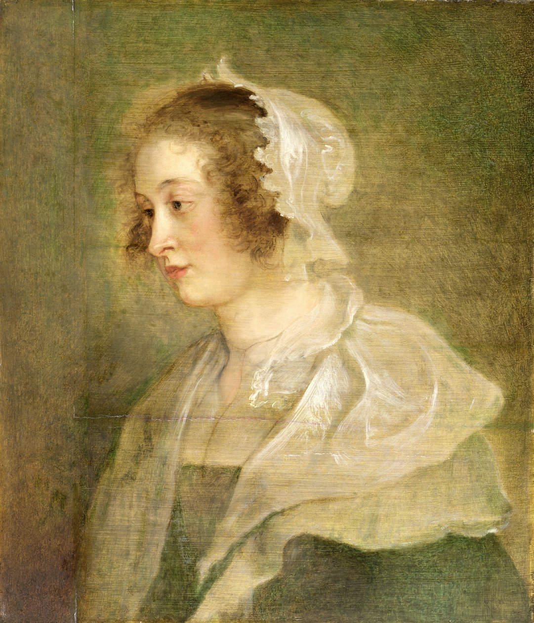 Głowa młodej kobiety (panel) autorstwa Peter Paul Rubens