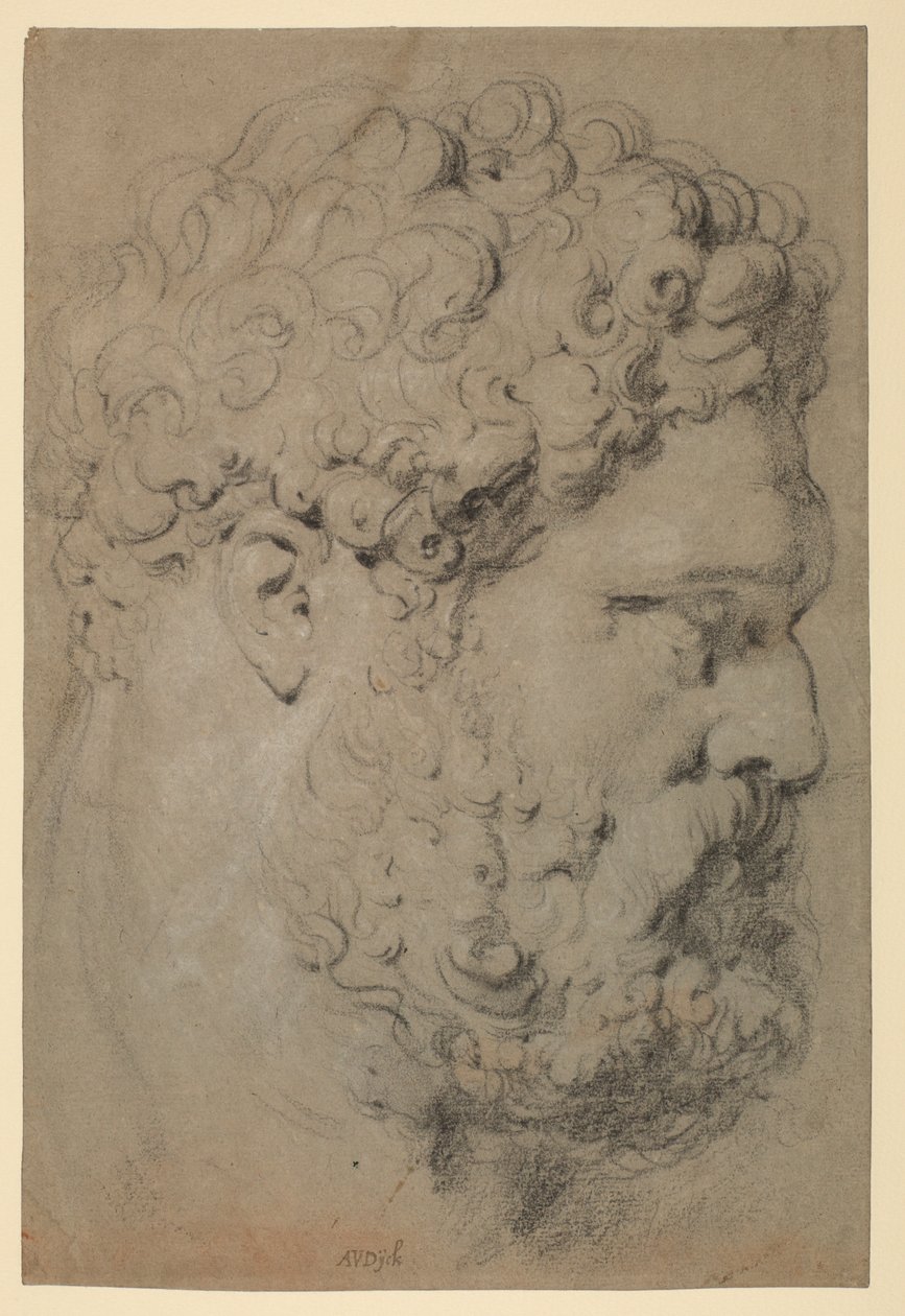 Szef Farnese Herkules autorstwa Peter Paul Rubens