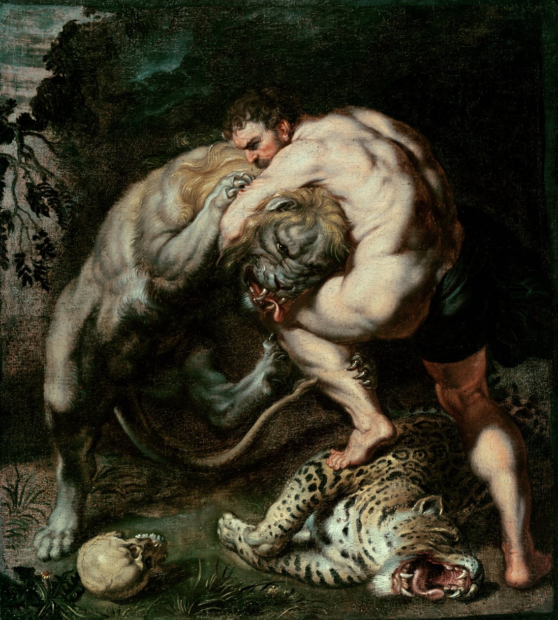 هرکولس د نیمین شیر پولی سره مبارزه کوي autorstwa Peter Paul Rubens