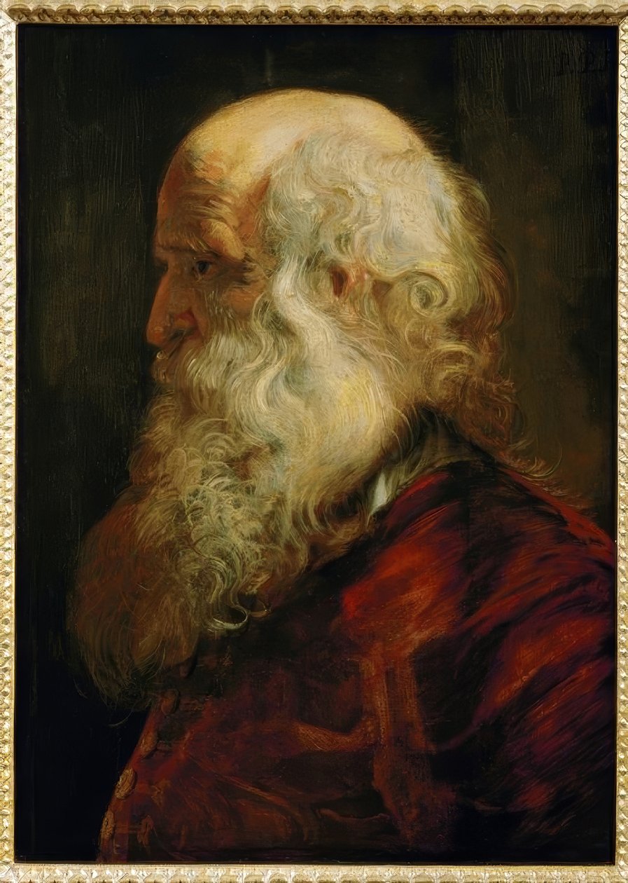 Studium głowy starego człowieka autorstwa Peter Paul Rubens
