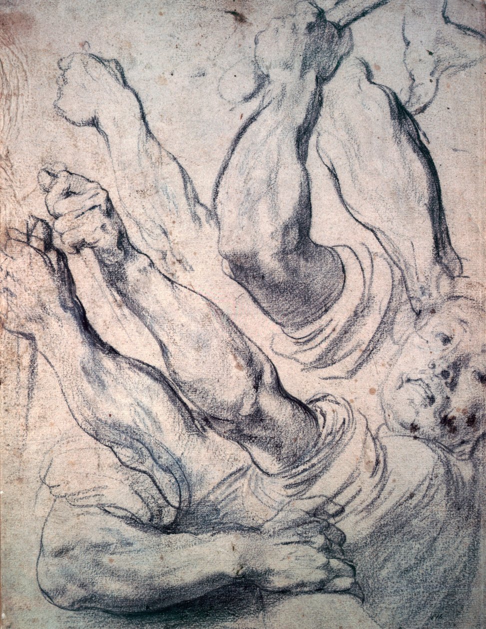 Nieznany obraz autorstwa Peter Paul Rubens