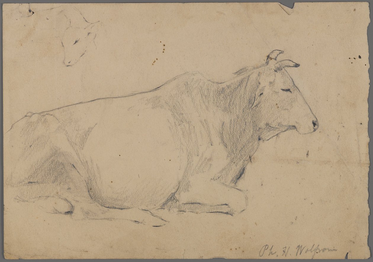 Siedzący byk (grafit na papierze) autorstwa Philip H. Wolfrom