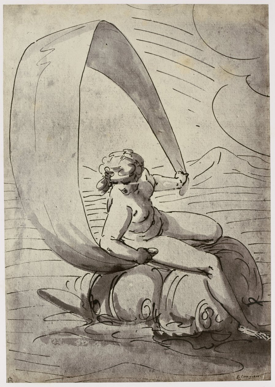 Cangiasis, Galathea autorstwa Philip Henry Delamotte