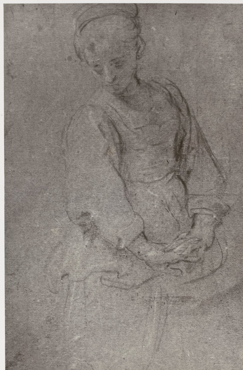 Domenichino, Smutek autorstwa Philip Henry Delamotte