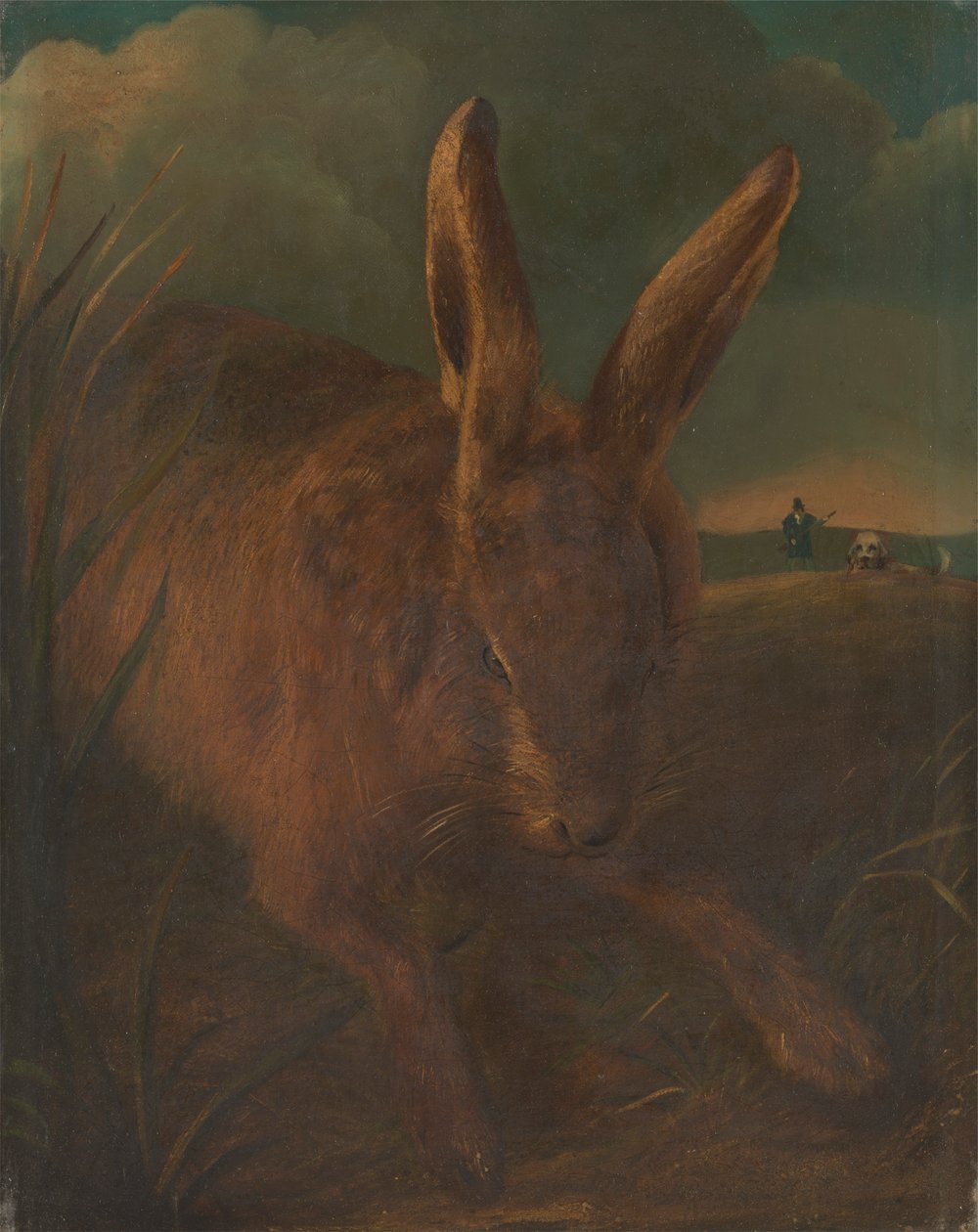 Zając Coursing autorstwa Philip Reinagle