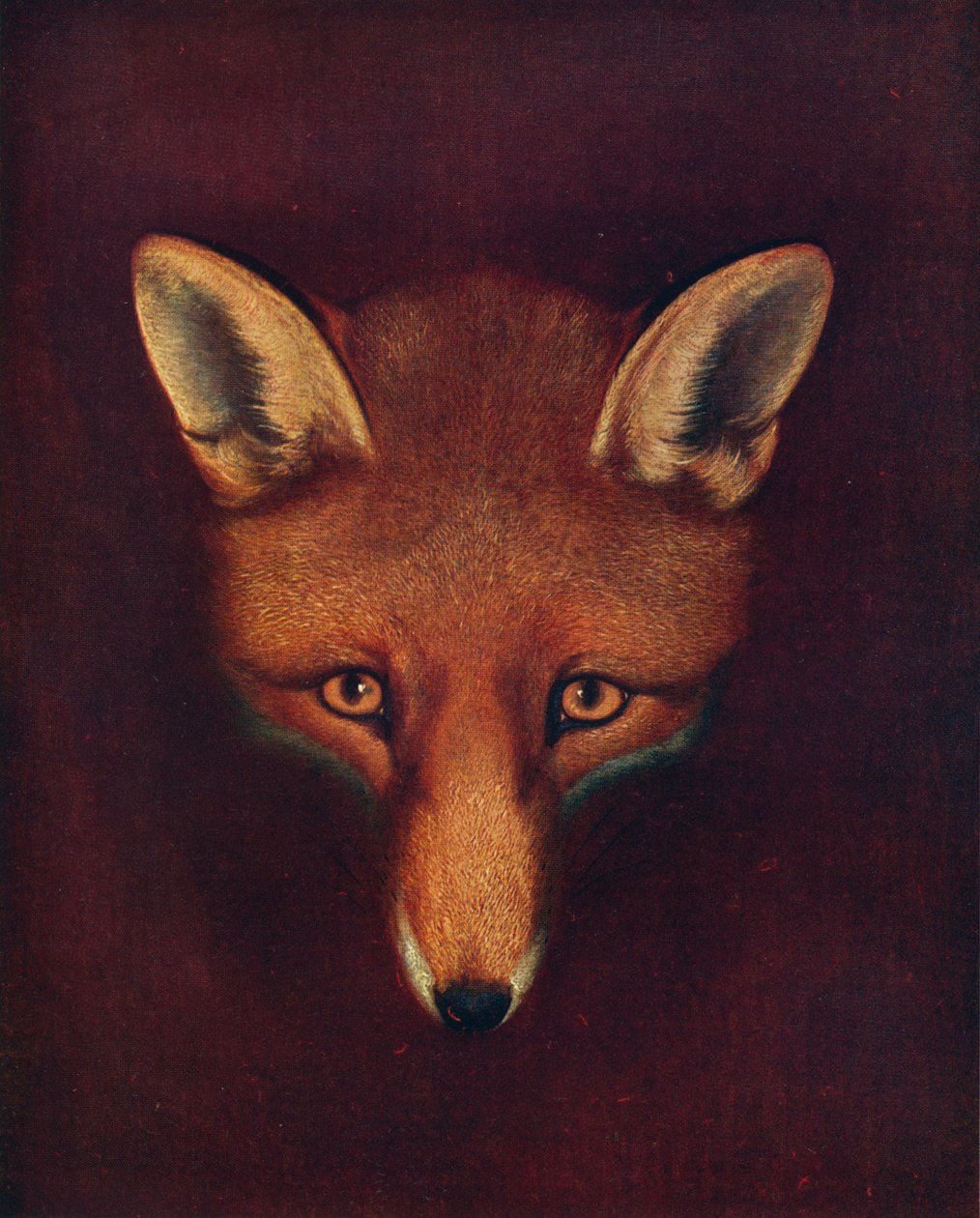 Renard the Fox, c1800, 1922 autorstwa Philip Reinagle