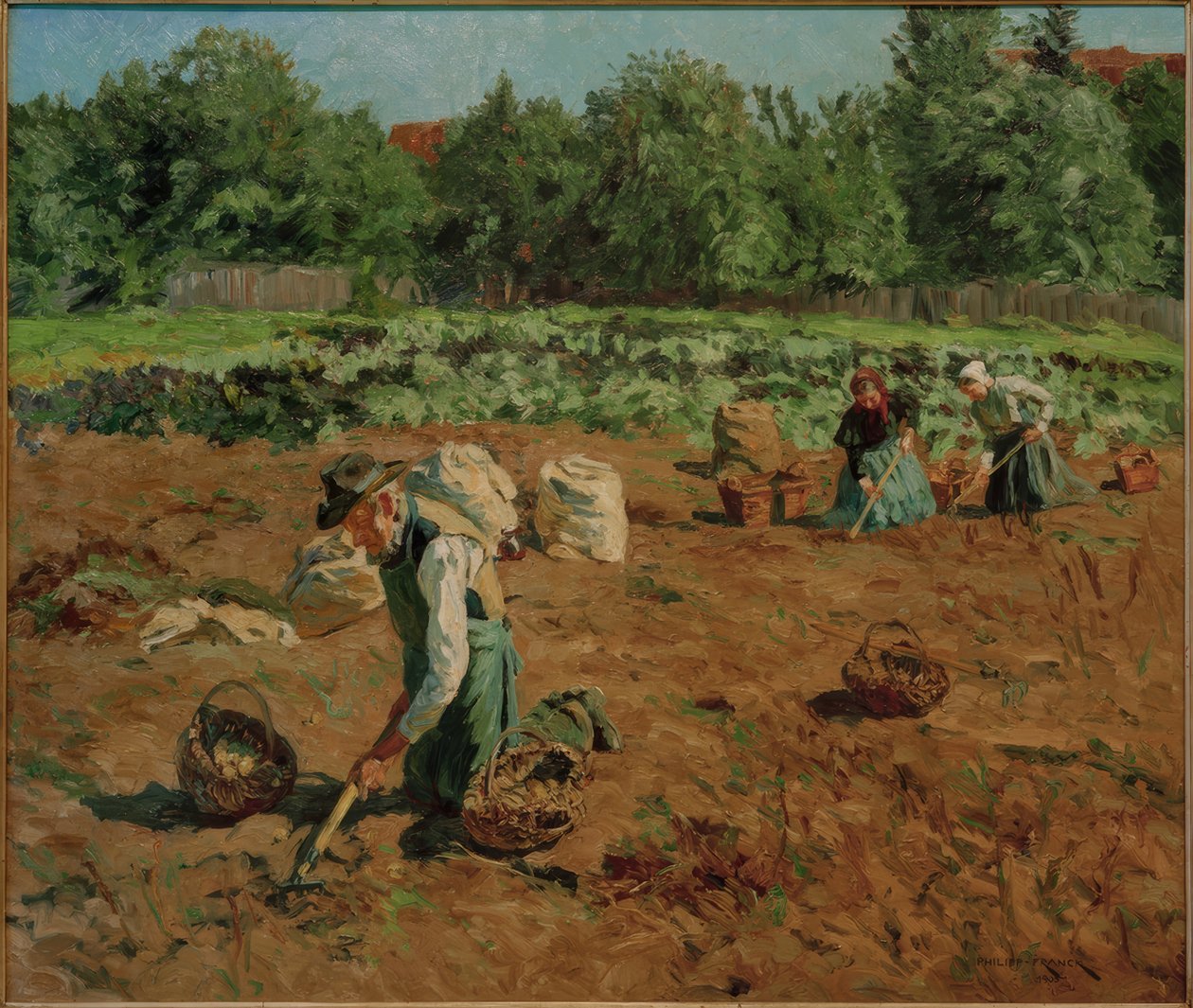 Zbiór ziemniaków autorstwa Philipp Franck