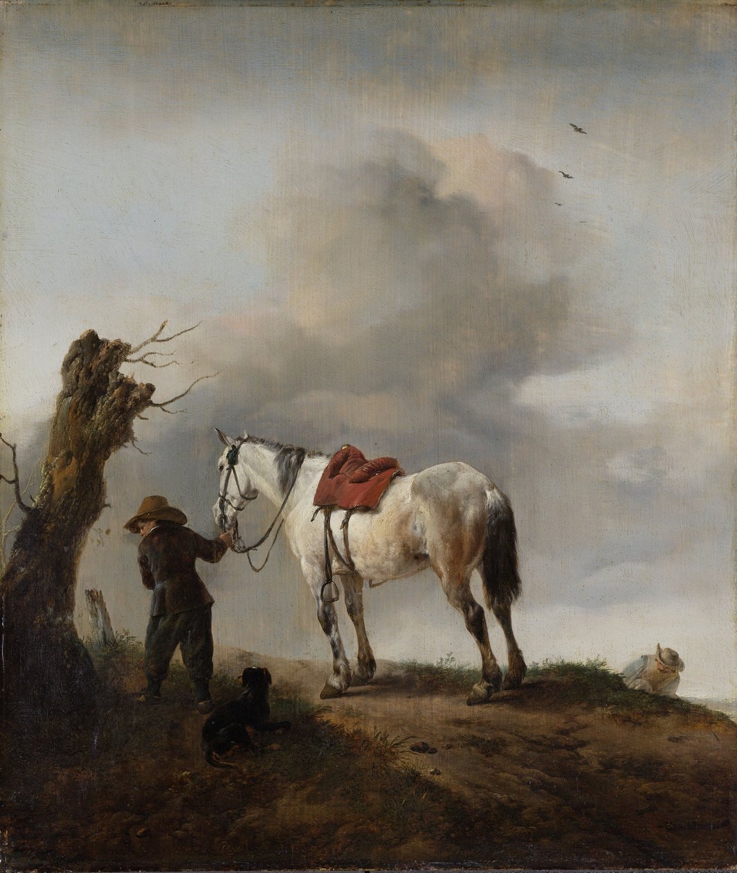 Szary Koń, ok.1646 autorstwa Philips Wouwerman