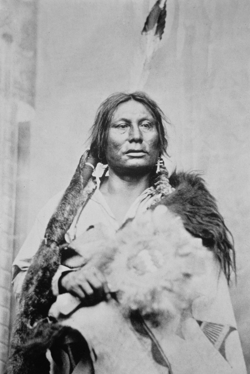 Chief Gall (ok. 1840-94) (zdjęcie czarno-białe) autorstwa Photographer American