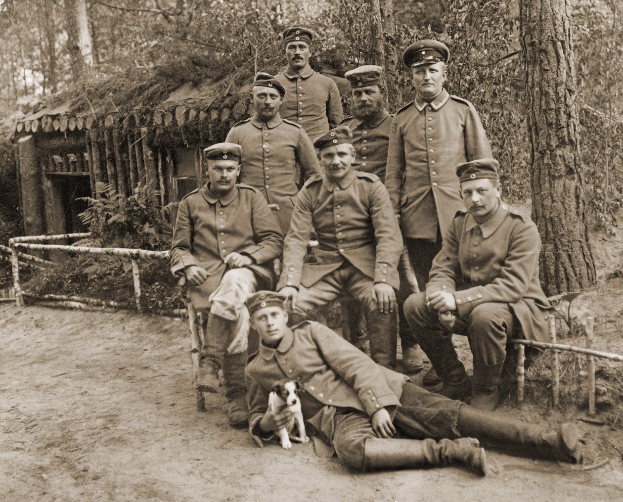 Grupa niemieckich żołnierzy z psem autorstwa Photographer German