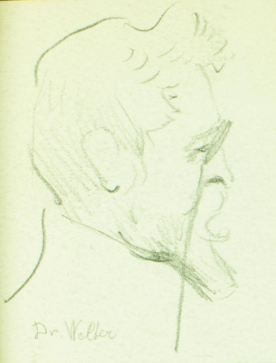 dr Welter autorstwa Pierre Blanc