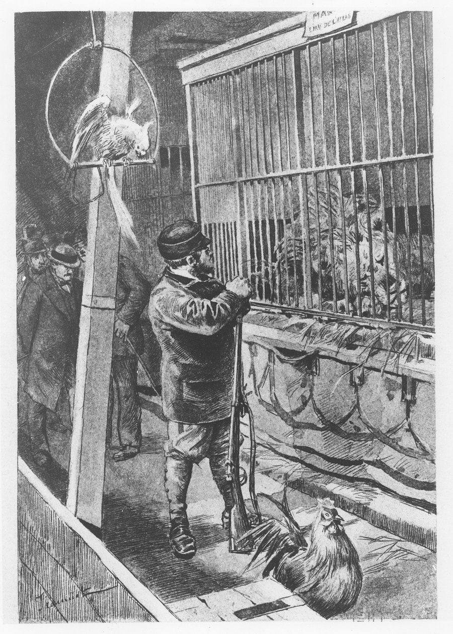 Ilustracja z „Tartarin de Tarascon”, Alphonse Daudet autorstwa Pierre Georges Jeanniot