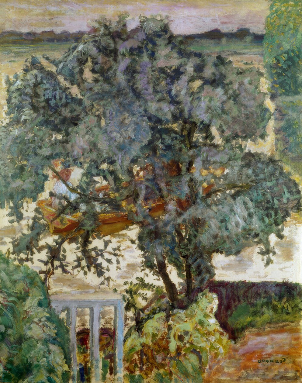 Drzewo nad rzeką autorstwa Pierre Bonnard