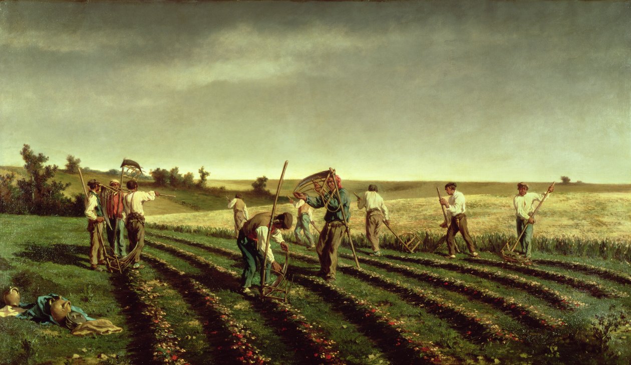 Żniwa Sainfoin w Chambaudouin, 1882 autorstwa Pierre Edmond Alexandre Hedouin