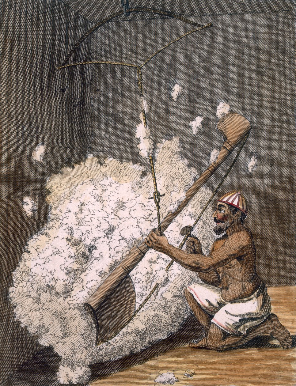 Zgrzeblarska bawełna, 1782. autorstwa Pierre Sonnerat