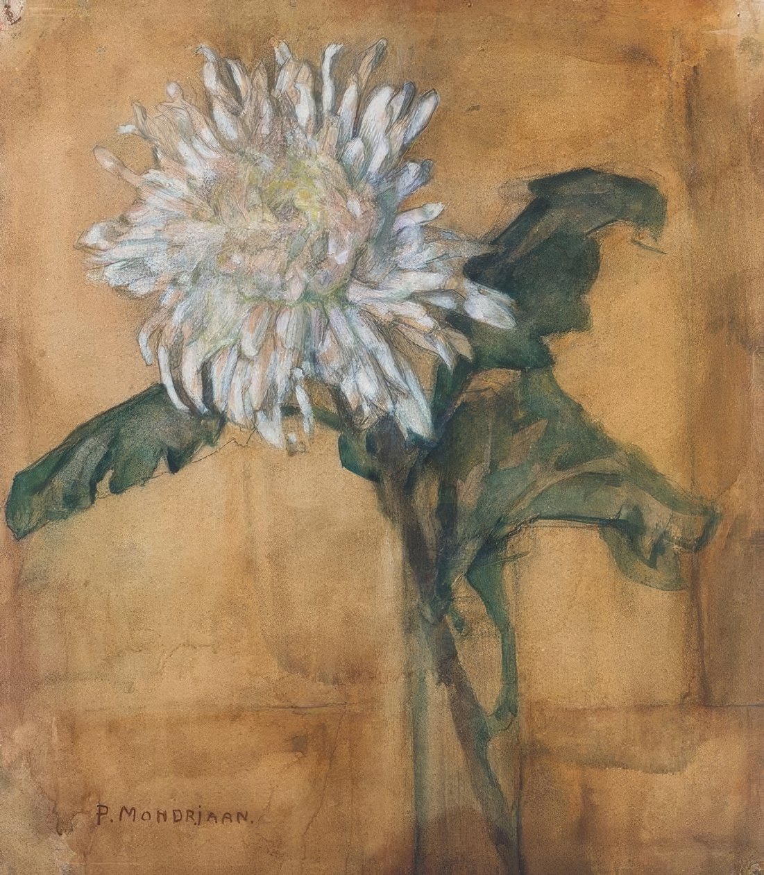 Chryzantema autorstwa Piet Mondrian