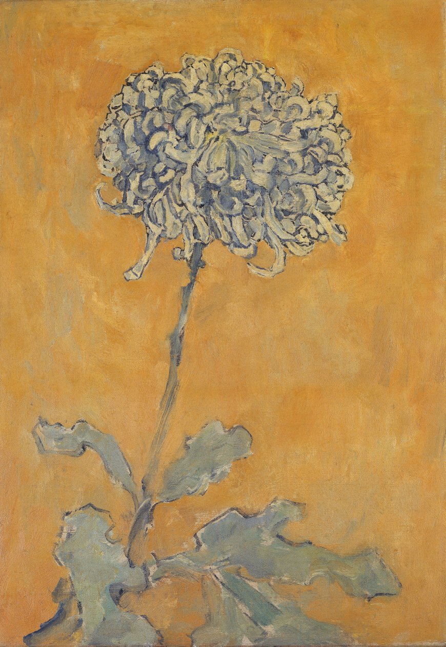 Chryzantema autorstwa Piet Mondrian