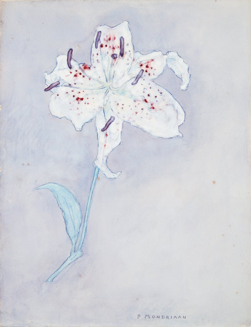 Lilia, ok. 1920-25 (akwarela na papierze) autorstwa Piet Mondrian