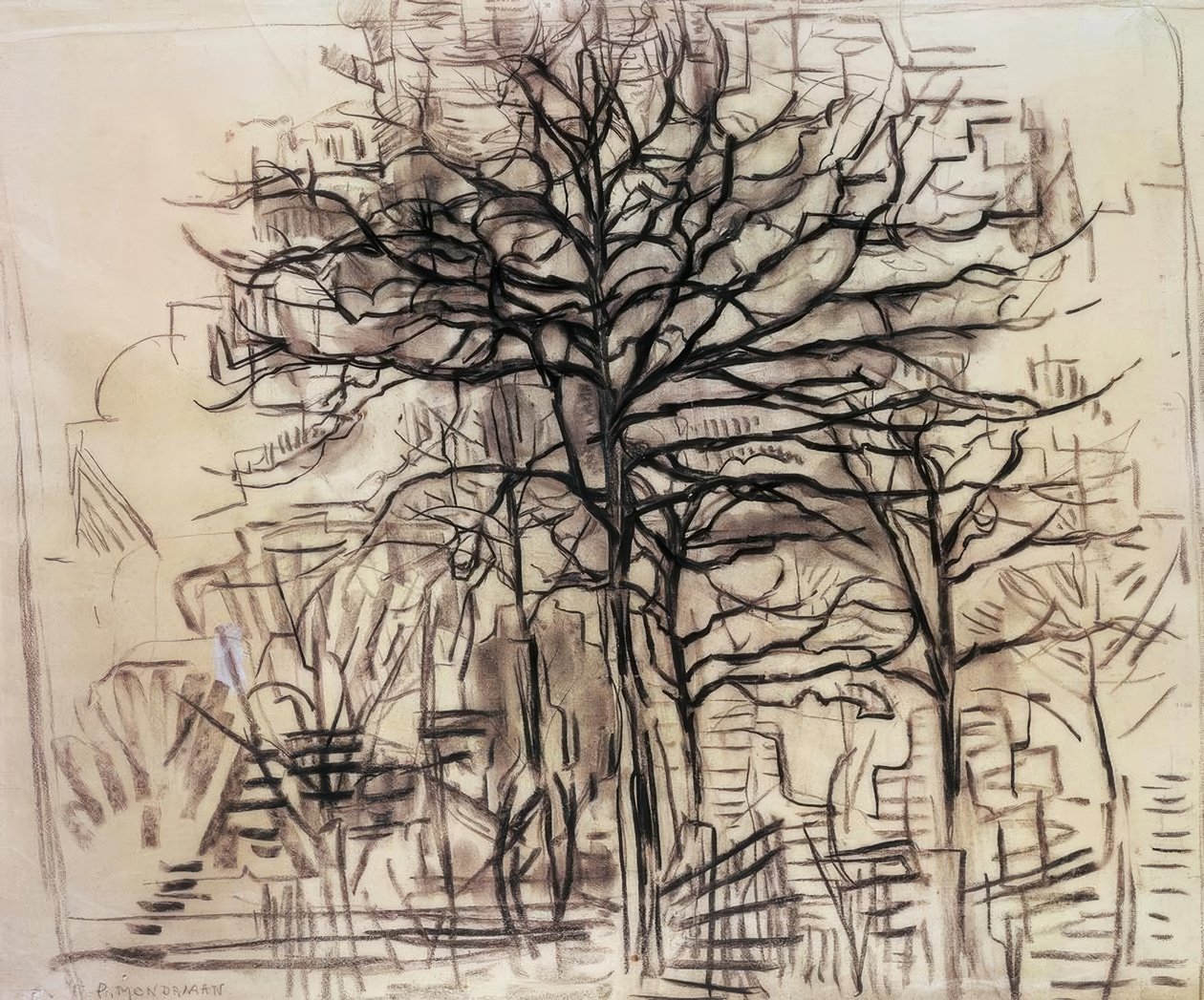 Badanie drzew, autorstwa Piet Mondrian