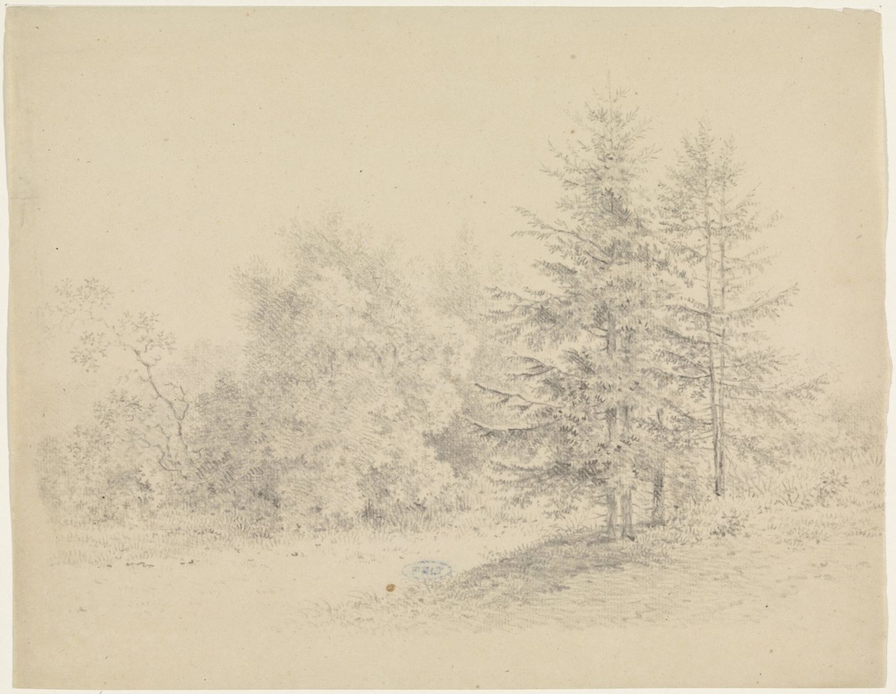 Widok na las z sosnami autorstwa Pieter Bartholomeusz. Barbiers