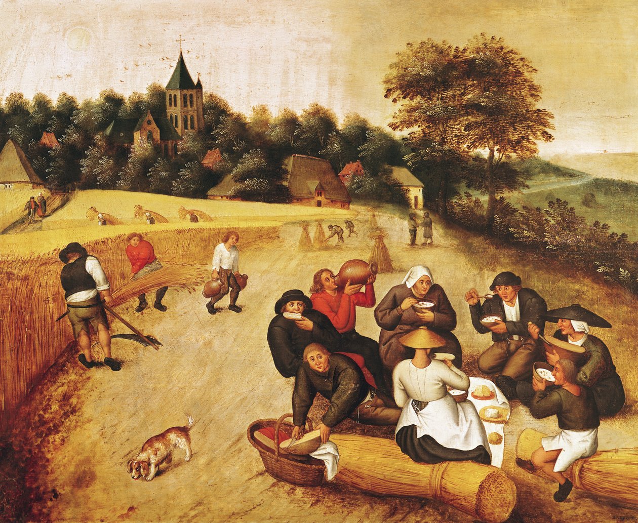 د هارویسټر د خواړو پالی autorstwa Pieter Brueghel the Younger