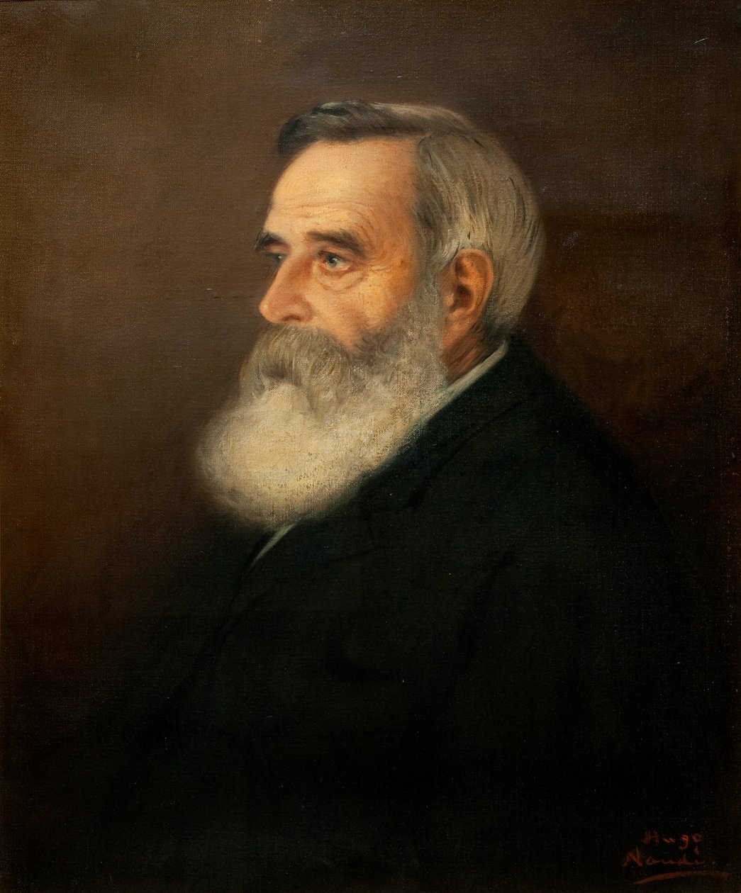 Dr Brown autorstwa Pieter Hugo Naudé